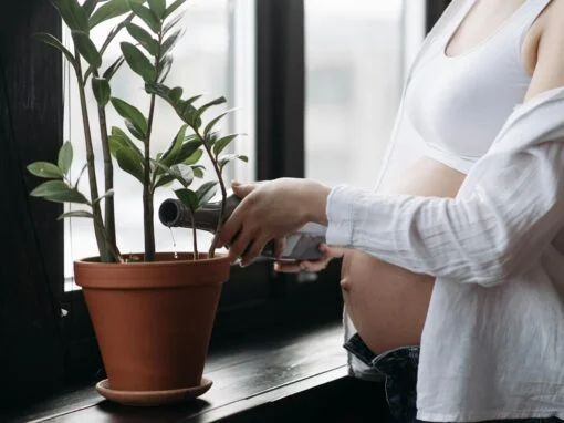 Third Trimester Pregnancy Essentials: Comfort Items Moms Swear By Third Trimester Pregnancy Essentials: Comfort Items Moms Swear By