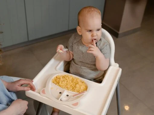 Baby-Led Weaning vs. Purees: The Ultimate 2026 Guide to Starting Solids Baby-Led Weaning vs. Purees: The Ultimate 2026 Guide to Starting Solids